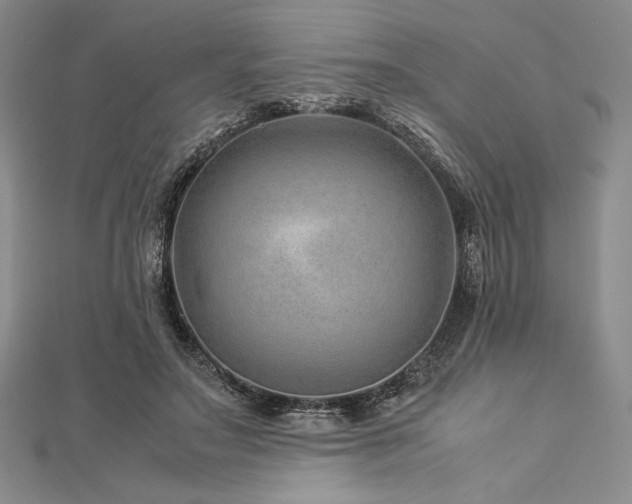 X0000113010499200908271412