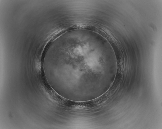 X0000113010500200908271412