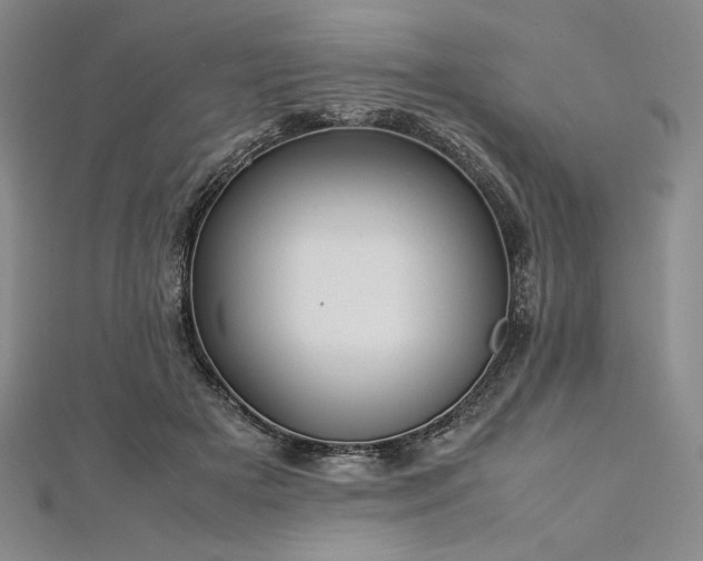 X0000113010505200908271412