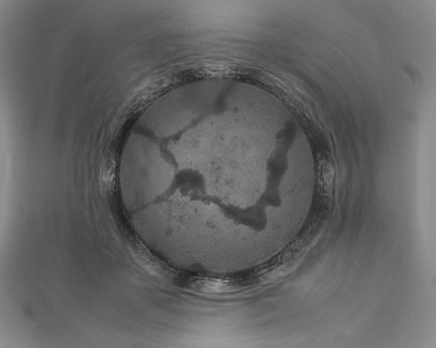 X0000113010507200908271412