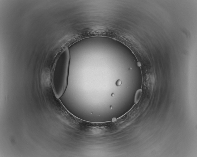 X0000113010508200908271412