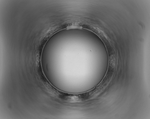 X0000113010509200908271412