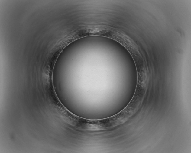 X0000113010510200908271412