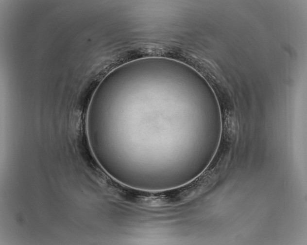 X0000113010511200908271412