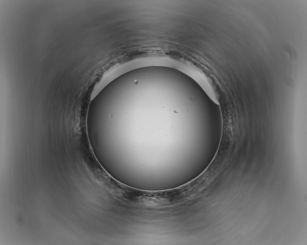 X0000113010512200908271412