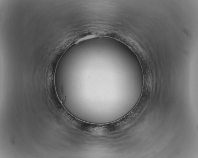 X0000113010513200908271412