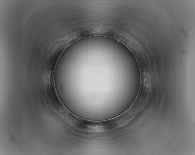 X0000113010514200908271412