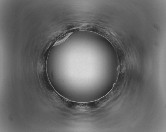 X0000113010515200908271412