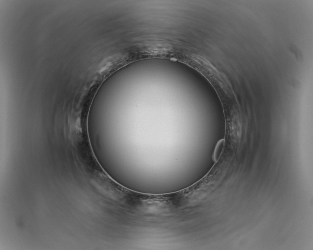 X0000113010516200908271412