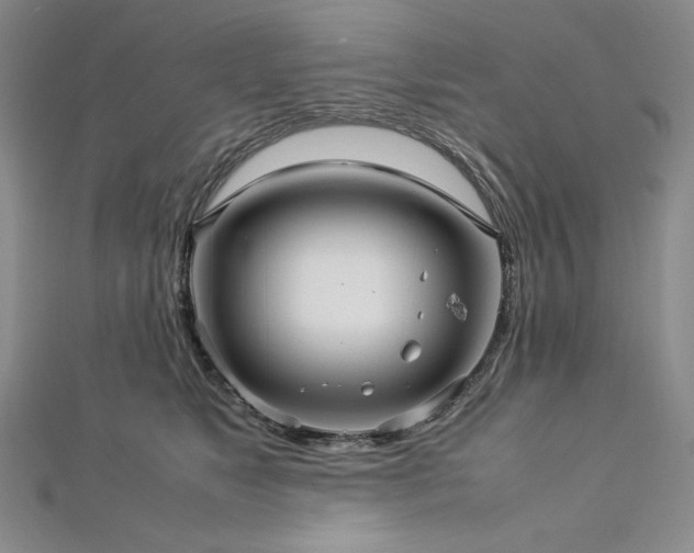 X0000113010517200908271412