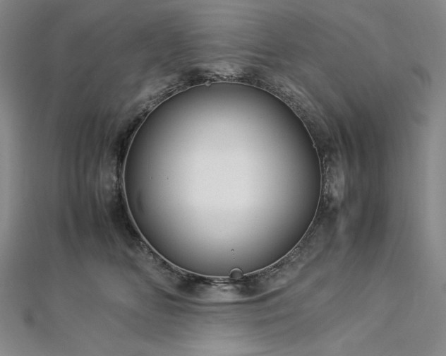 X0000113010518200908271412