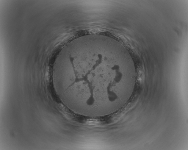 X0000113010519200908271412