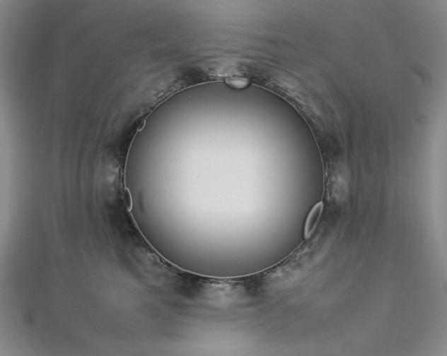 X0000113010521200908271412