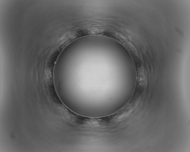 X0000113010523200908271412