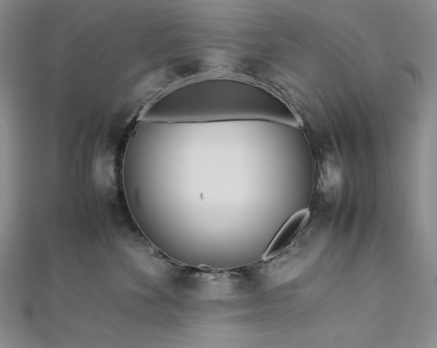 X0000113010524200908271412