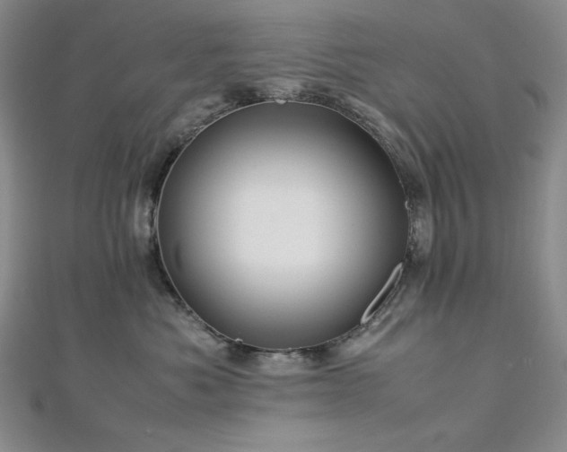 X0000113010525200908271412