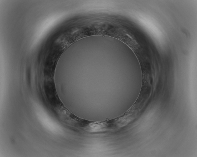 X0000113010526200908271412