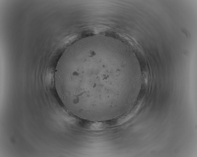 X0000113010527200908271411