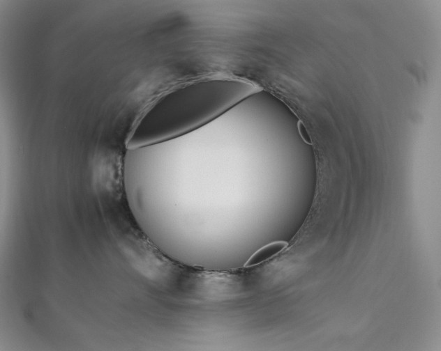 X0000113010528200908271411