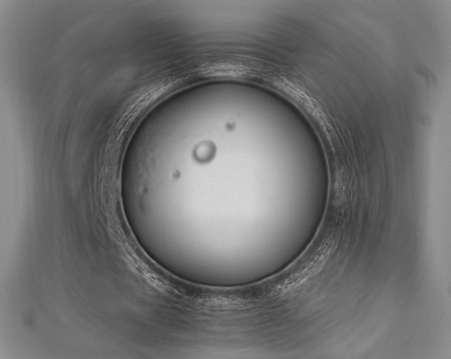 X0000113010529200908271411