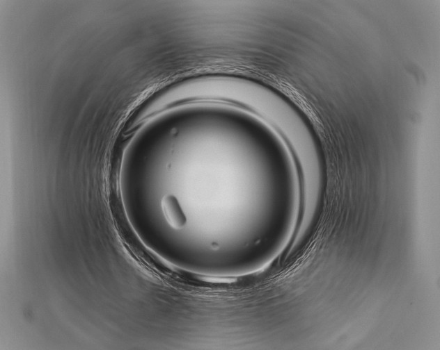 X0000113010530200908271411