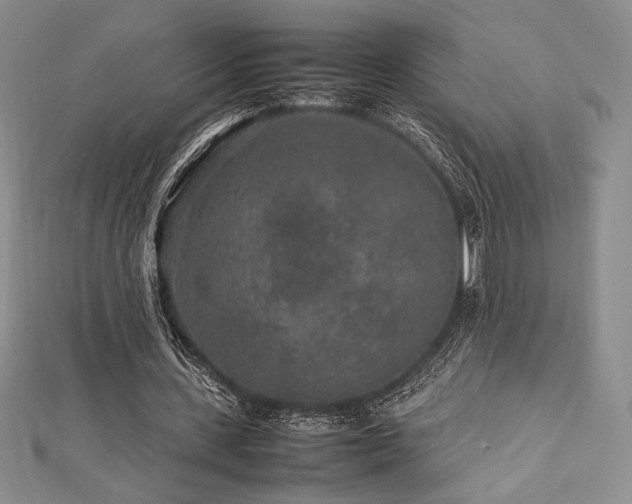 X0000113010531200908271411