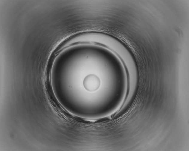 X0000113010532200908271411