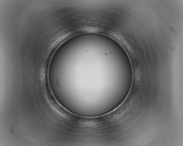 X0000113010533200908271411