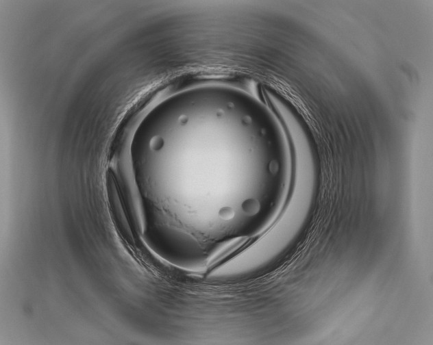 X0000113010534200908271411