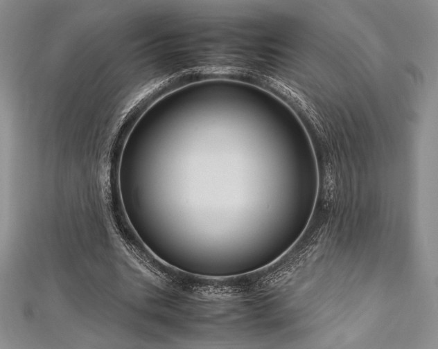 X0000113010535200908271411