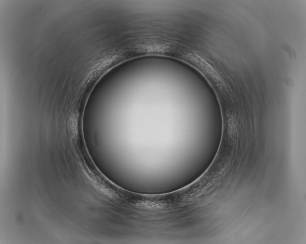 X0000113010537200908271411