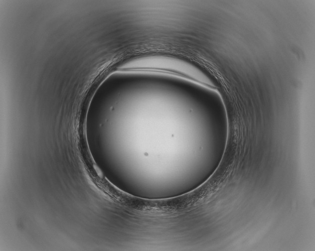 X0000113010538200908271411