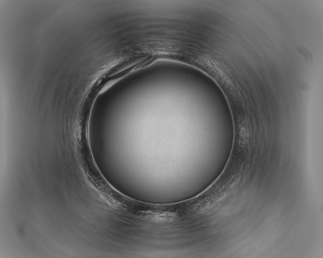 X0000113010539200908271411