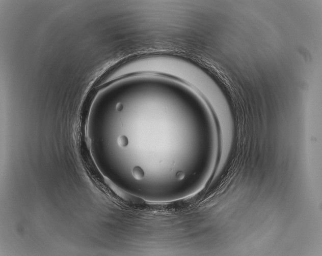 X0000113010540200908271411