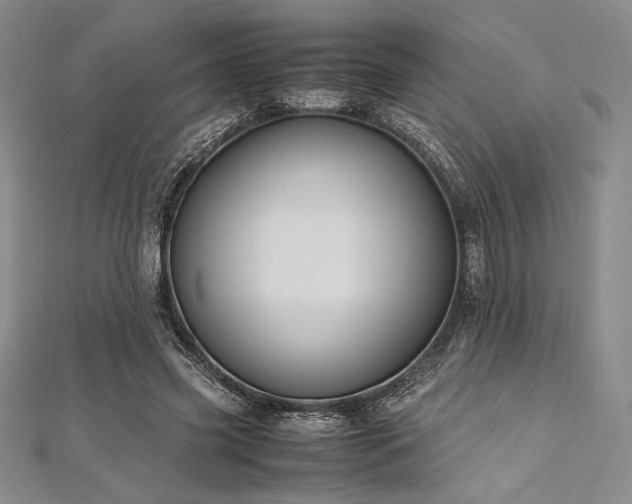 X0000113010541200908271411