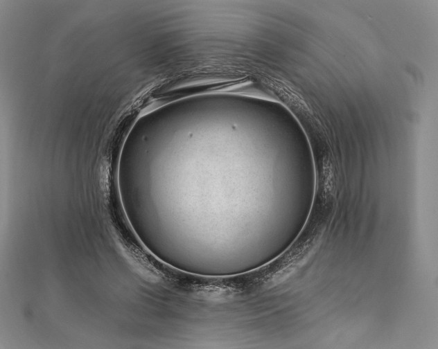 X0000113010542200908271411