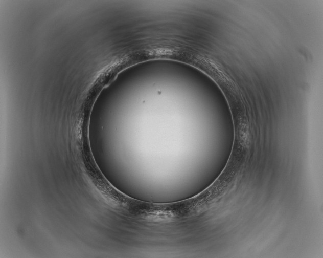 X0000113010543200908271411