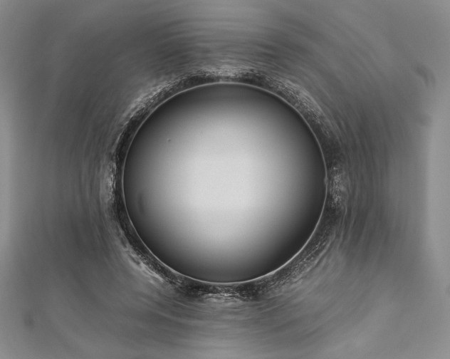 X0000113010544200908271411