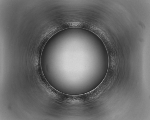 X0000113010545200908271411