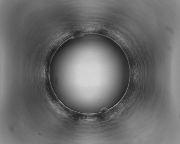 X0000113010546200908271411