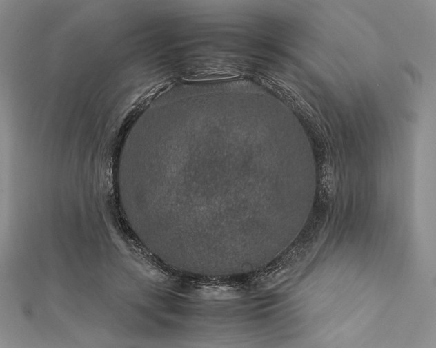 X0000113010547200908271411