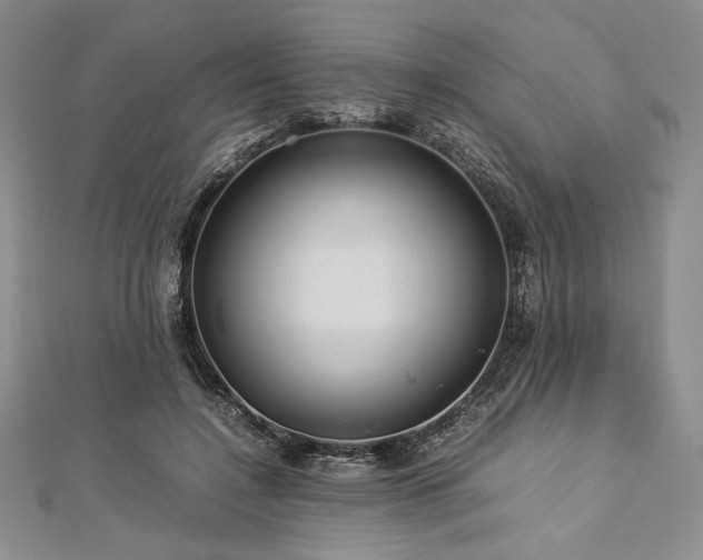 X0000113010548200908271411