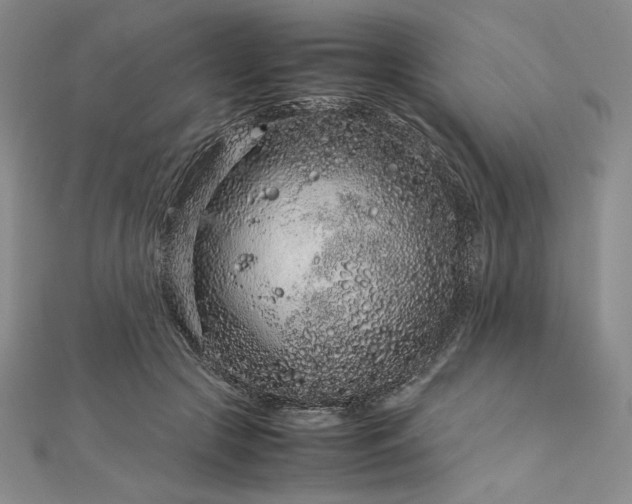 X0000113010553200908271411