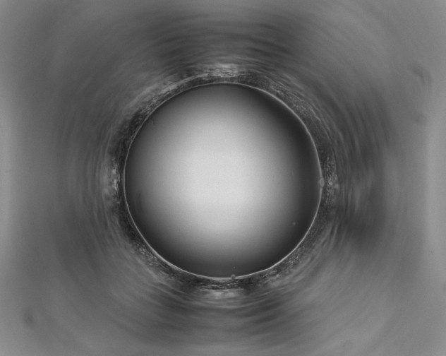 X0000113010555200908271411