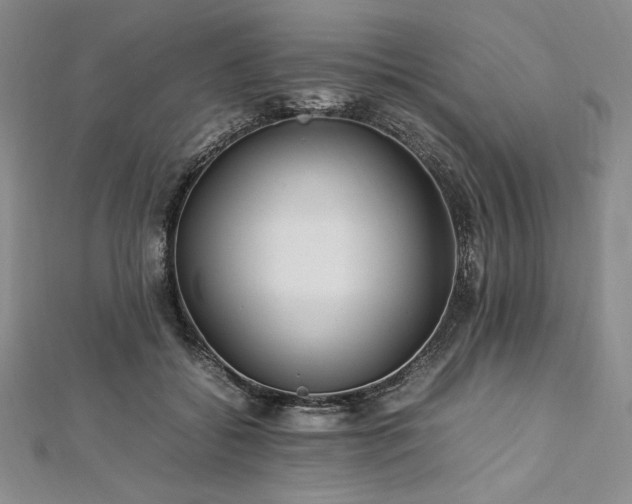 X0000113010556200908271411