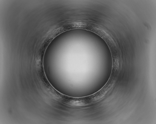 X0000113010557200908271411