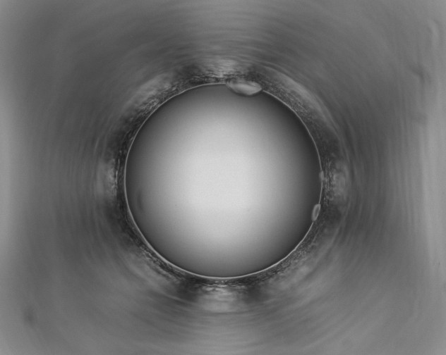 X0000113010558200908271411