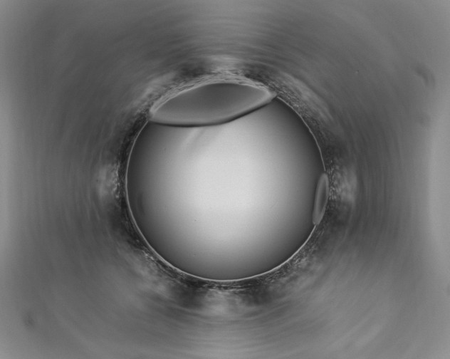 X0000113010560200908271411