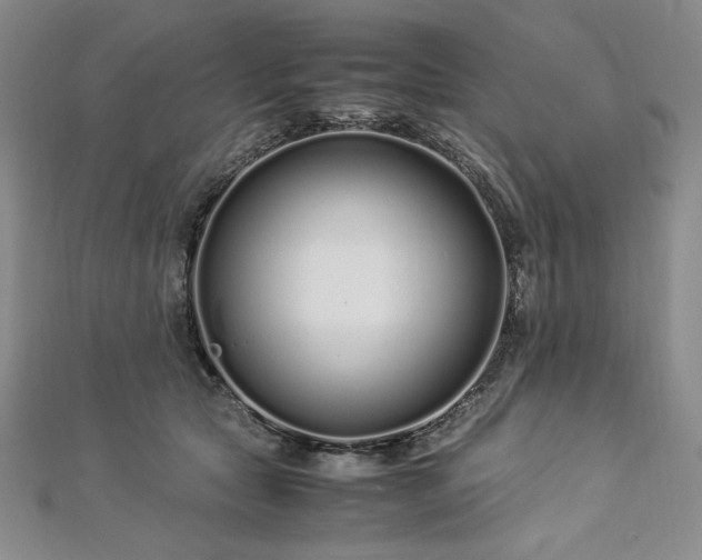 X0000113010561200908271411