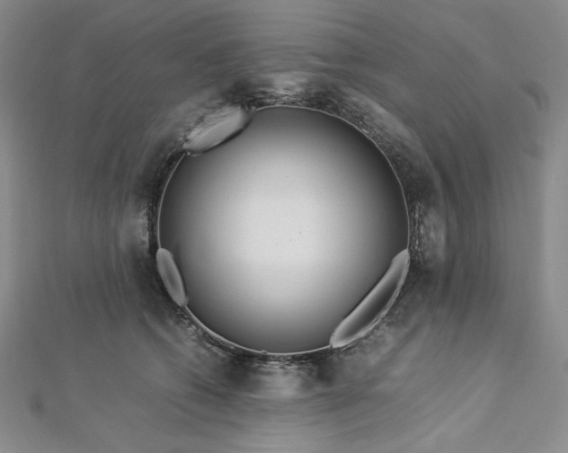 X0000113010562200908271411